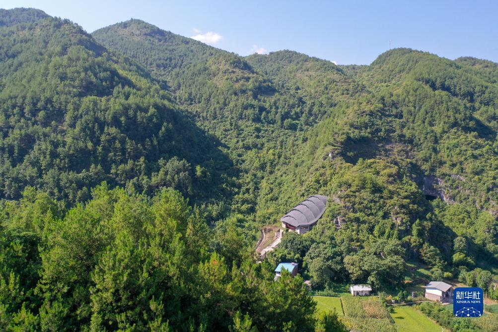 同城游戏五张牌去哪了
